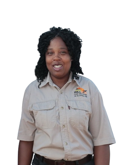 service image